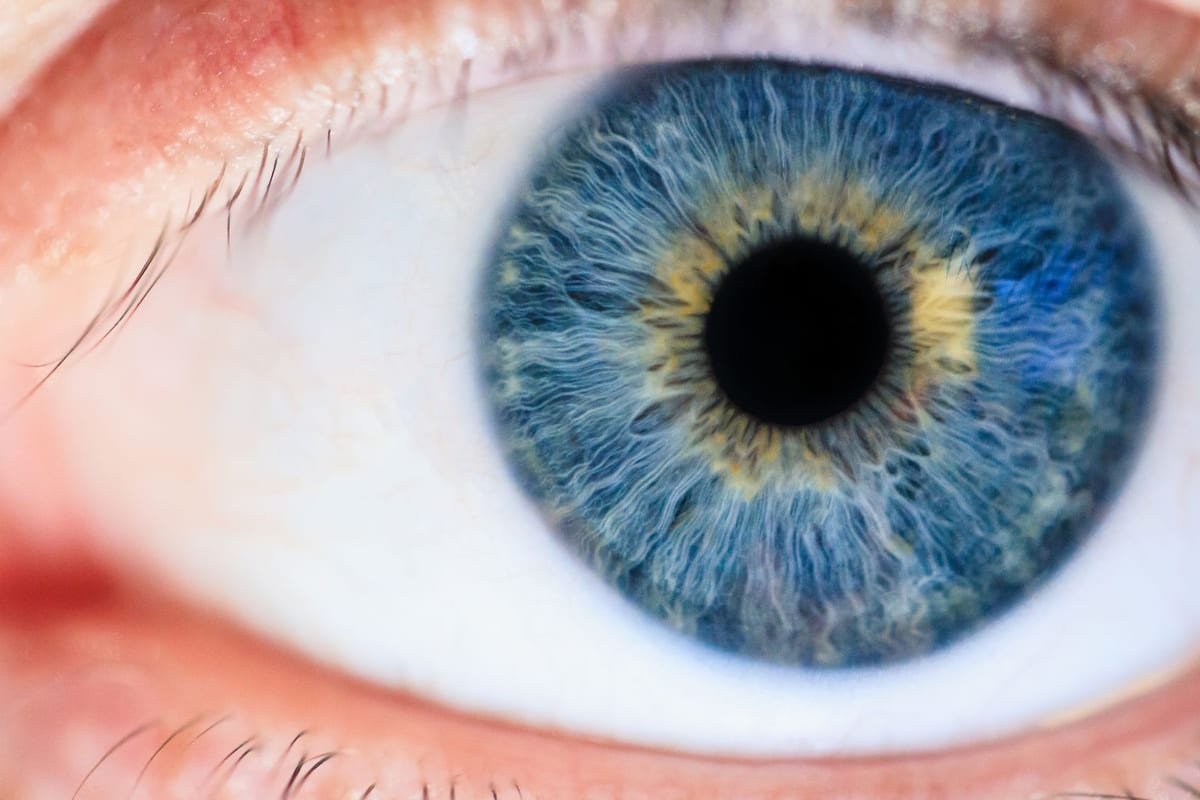A human eye in macro, iris and pupil in detail